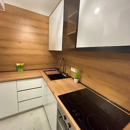 Lägenhet Ilidza - Pejton - Free Parking *